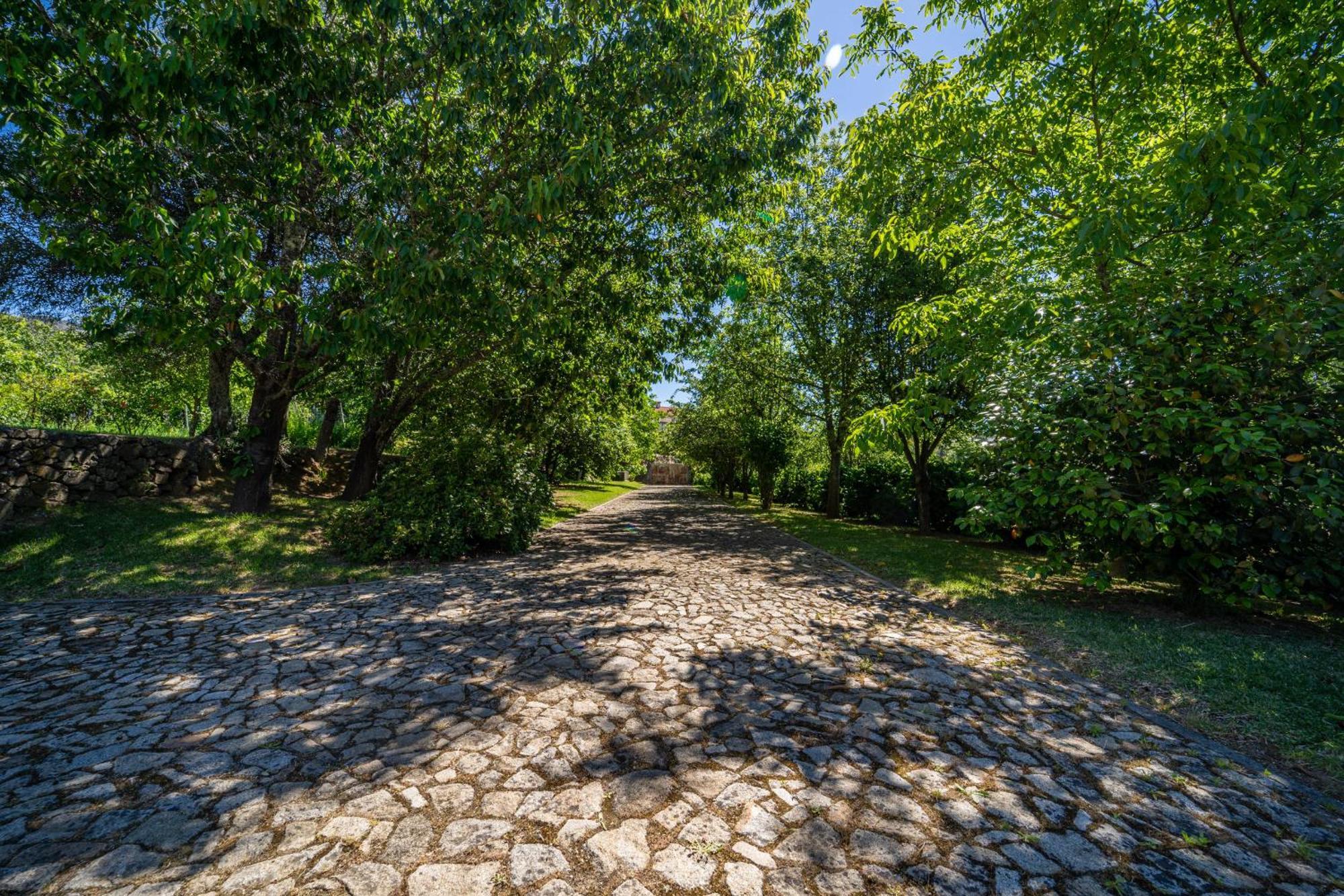 Eido Oliveira - Casa De Campo - Ponte De Lima Anais Ngoại thất bức ảnh