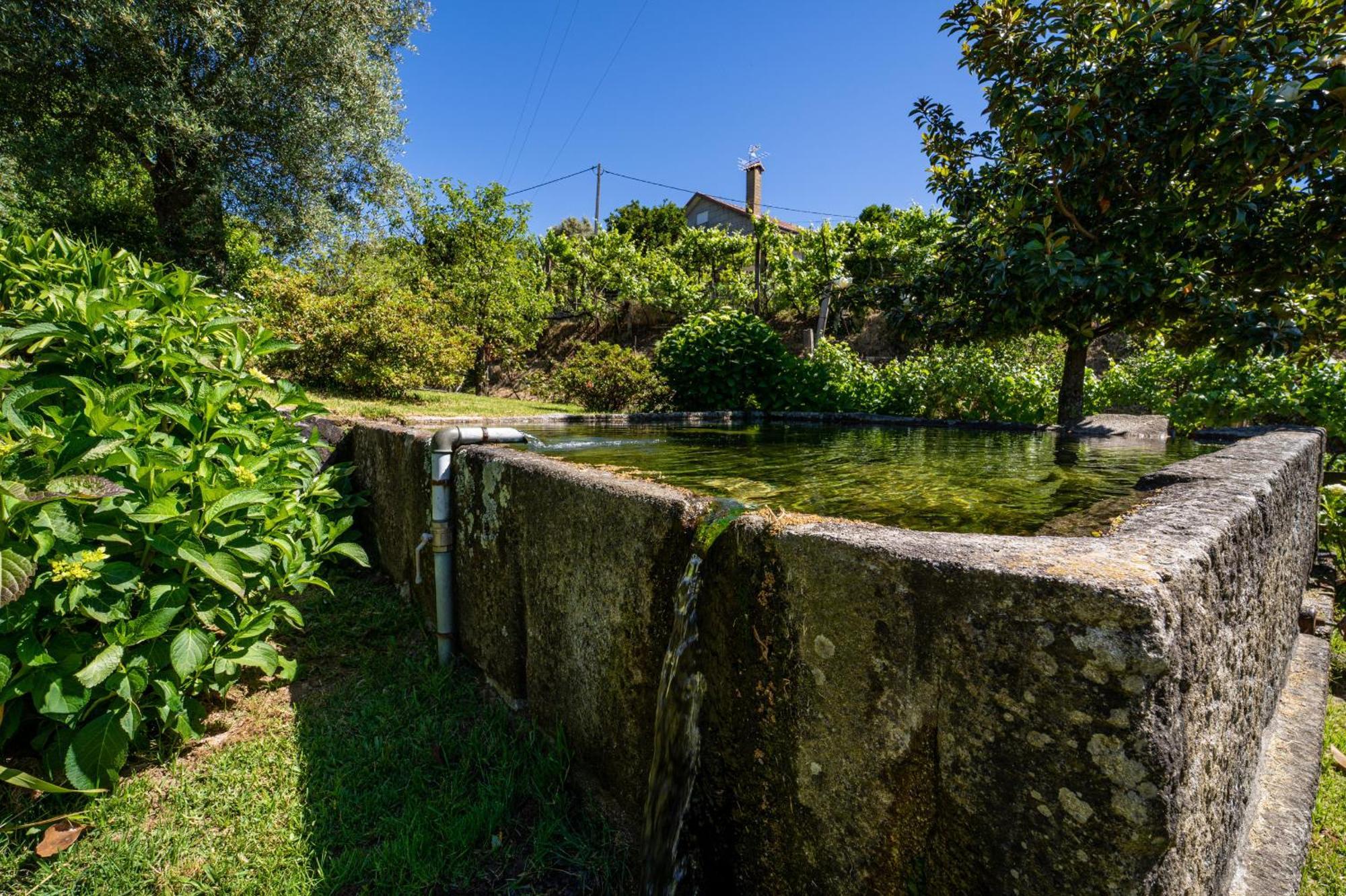 Eido Oliveira - Casa De Campo - Ponte De Lima Anais Ngoại thất bức ảnh